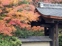 �C���[�W02