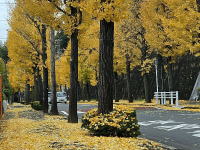 �C���[�W01