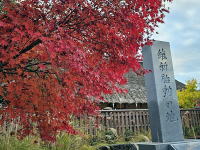 �C���[�W02