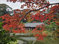 �C���[�W02