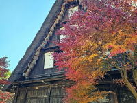 �C���[�W01