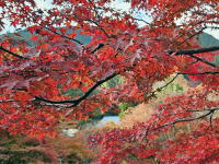 �C���[�W02