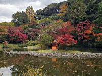 �C���[�W03