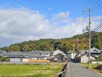 �C���[�W04